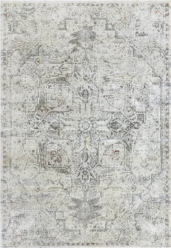 Dynamic CAPELLA Grey Rectangle 4x6 ft  Carpet 143812