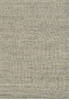 Dynamic GROVE Grey 36 X 56 Area Rug GV466214999 801-143934 Thumb 0