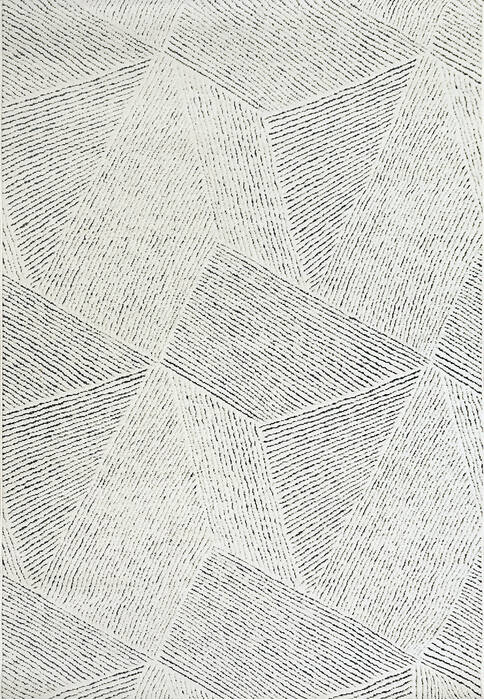 Dynamic LOTUS White 53 X 77 Area Rug LT698144150 801-144044 Image 0