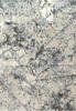 Dynamic MILLION Grey 31 X 58 Area Rug MN465848995 801-144075 Thumb 0