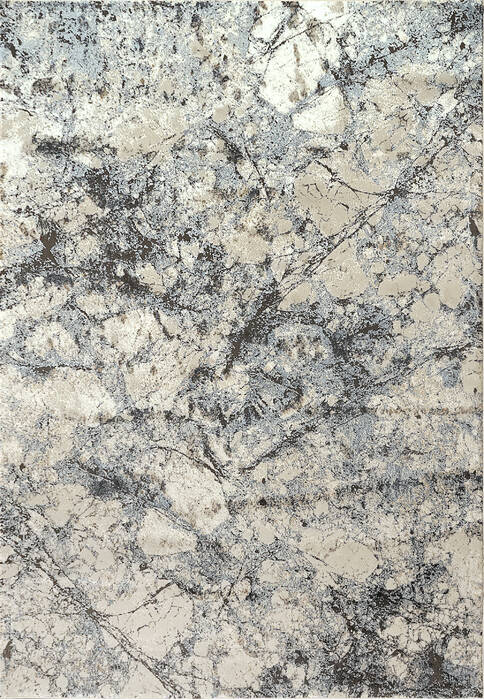Dynamic MILLION Grey 68 X 97 Area Rug MN7105848995 801-144095 Image 0
