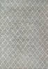 Dynamic RAY Grey 50 X 80 Area Rug RY694260900 801-144274 Thumb 0