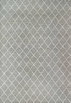 Dynamic RAY Grey 5'0" X 8'0" Area Rug RY694260900 801-144274