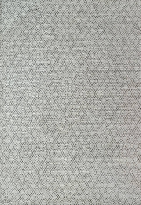 Dynamic RAY Grey 50 X 80 Area Rug RY694264910 801-144276 Image 0