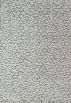 Dynamic RAY Grey 5'0" X 8'0" Area Rug RY694264910 801-144276