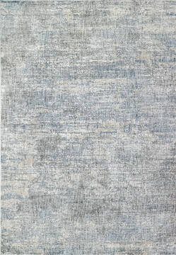 Dynamic SAVOY Grey Runner 2'2" X 7'7" Area Rug VX283574958 801-144331