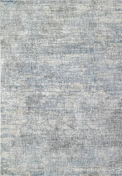 Dynamic SAVOY Grey Rectangle 4x6 ft  Carpet 144338