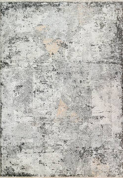 Dynamic SUNRISE Grey 2'7" X 4'11" Area Rug ZS356682999 801-144395