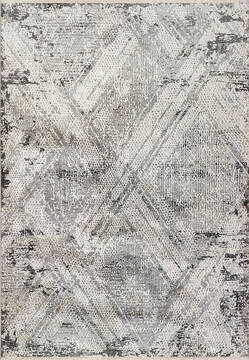 Dynamic SUNRISE Grey 2'7" X 4'11" Area Rug ZS356683999 801-144396