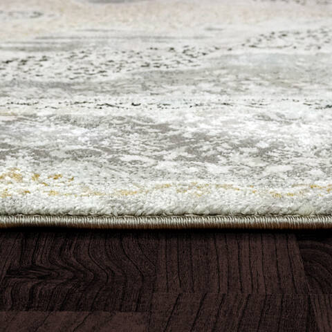 Dynamic SUNRISE Beige Runner 20 X 75 Area Rug ZS286681899 801-144399 Image 2