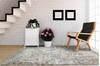 Dynamic SUNRISE Grey 90 X 120 Area Rug ZS10146885999 801-144422 Thumb 3