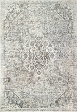 Dynamic ZEN Grey Runner 6 to 9 ft  Carpet 144655
