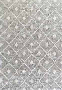 Dynamic MEHARI Grey 2'0" X 3'11" Area Rug MR24232755262 801-144820