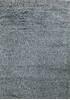 Shaggy Grey Shaggy 46 X 66  Area Rug 902-144889 Thumb 0