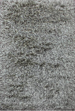 Shaggy Beige Shaggy 4'0" X 6'0"  Area Rug 902-144892