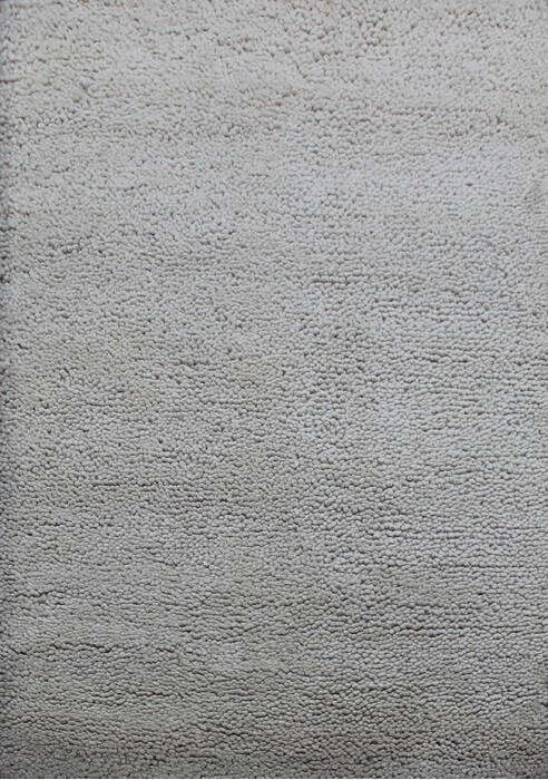 Shaggy Beige Shaggy 46 X 66 Area Rug 902-144894 Image 0