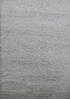 Shaggy Grey Shaggy 46 X 66  Area Rug 902-144894 Thumb 0