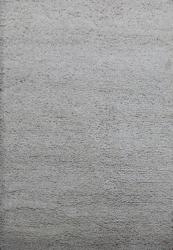 Shaggy Beige Shaggy 5'10" X 7'9"  Area Rug 902-144896