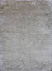 Shaggy Beige Shaggy 46 X 66  Area Rug 902-144898 Thumb 0