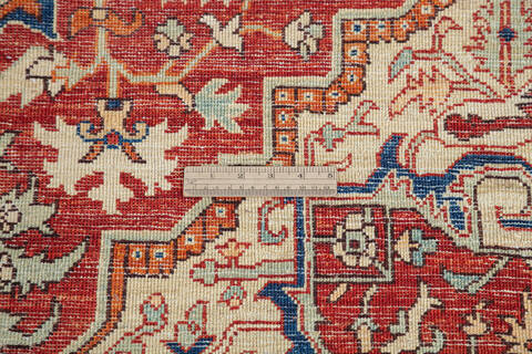Heriz Red Hand Knotted 60 X 92 Area Rug 700-145230 Image 7