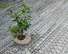 Modern-Contemporary Multicolor Hand Knotted 91 X 122 Area Rug 904-145459 Thumb 8