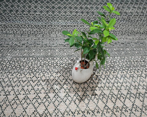 Modern-Contemporary Green Hand Knotted 92 X 126 Area Rug 904-145461 Image 9