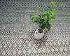 Modern-Contemporary Green Hand Knotted 92 X 126 Area Rug 904-145461 Thumb 9