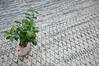 Modern-Contemporary Green Hand Knotted 810 X 124 Area Rug 904-145462 Thumb 9