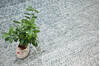 Modern-Contemporary Green Hand Knotted 810 X 122 Area Rug 904-145464 Thumb 9