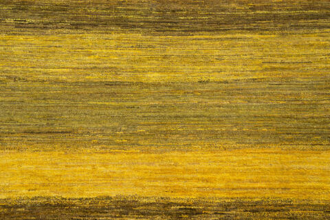 Gabbeh Yellow Hand Knotted 60 X 95 Area Rug 700-145510 Image 3