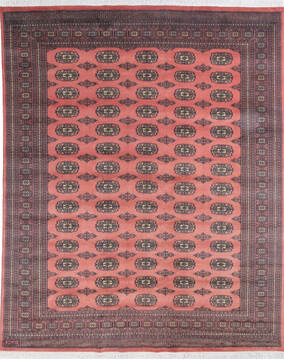 Bokhara Red Hand Knotted 8'2" X 10'0"  Area Rug 700-145551