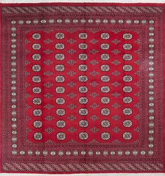 Bokhara Red Square Hand Knotted 8'0" X 8'4"  Area Rug 700-145658