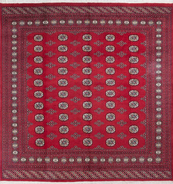 Bokhara Red Square Hand Knotted 8'0" X 8'4"  Area Rug 700-145658