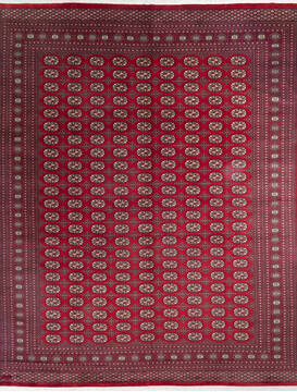 Bokhara Red Hand Knotted 10'6" X 13'1"  Area Rug 700-145659