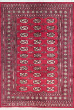 Bokhara Red Hand Knotted 5'9" X 8'3"  Area Rug 700-145664