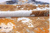 Modern Multicolor Hand Knotted 80 X 103  Area Rug 700-145800 Thumb 5