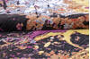 Modern Multicolor Hand Knotted 81 X 103 Area Rug 700-145801 Thumb 5