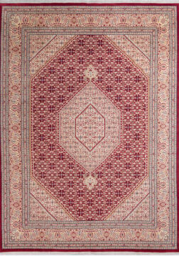 Pak-Persian Red Hand Knotted 9'1" X 12'5"  Area Rug 700-145983