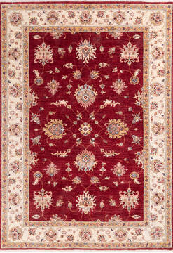 Chobi Red Hand Knotted 5'9" X 8'2"  Area Rug 700-146270