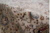 Jaipur Beige Hand Knotted 61 X 92 Area Rug 905-146469 Thumb 7