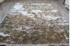 Jaipur Green Hand Knotted 91 X 122 Area Rug 905-146508 Thumb 1
