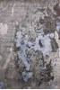 Jaipur Blue Hand Knotted 61 X 92 Area Rug 905-146518 Thumb 0