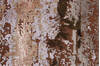 Modern Multicolor Hand Knotted 66 X 99 Area Rug 902-146551 Thumb 4