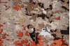 Modern Multicolor Hand Knotted 56 X 80 Area Rug 902-146556 Thumb 4