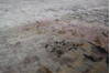 Jaipur White Hand Knotted 710 X 911 Area Rug 905-146751 Thumb 5