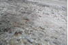 Jaipur Grey Hand Knotted 511 X 811 Area Rug 905-146763 Thumb 4