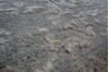 Jaipur Beige Hand Knotted 41 X 61 Area Rug 905-146788 Thumb 4