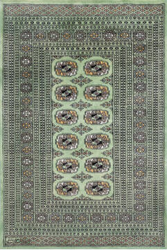 Bokhara Green Hand Knotted 4'2" X 6'2"  Area Rug 700-147032