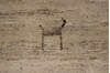 Gabbeh Beige Hand Knotted 35 X 410 Area Rug 254-147154 Thumb 3