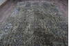 Jaipur Green Hand Knotted 81 X 101 Area Rug 905-147260 Thumb 7